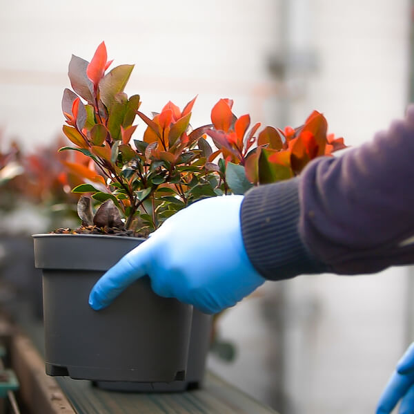 Snepvangers duurzaam recycled potten Snepvangers duurzaam recycled potten